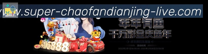 未来规划